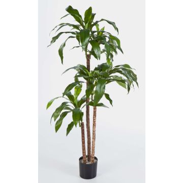Drácena Fragrans artificial LAURA, tronco natural, verde, 150cm