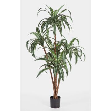 Drácena árbol artificial JALA, tronco natural, verde-blanco, 120cm