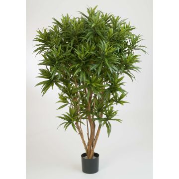Dracaena reflexa Jamaica artificial AMELIA, tronco real, verde, 145cm