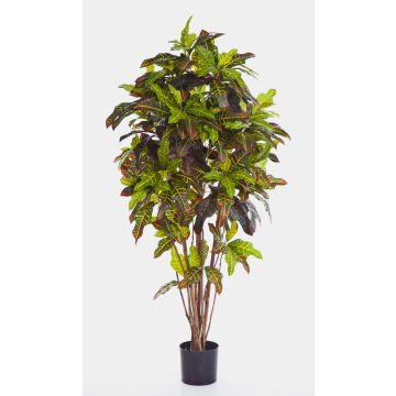 Croton Goldfinger reflexa artificial BEQA, tronco real, colores, 150cm