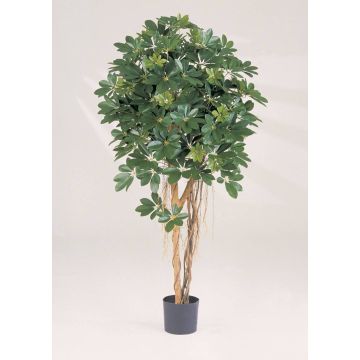 Schefflera artificial SIENNA, troncos naturales, verde, 140cm Schefflera artificial SIENNA, troncos naturales, verde, 140cm