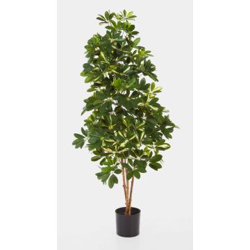 Schefflera PREMIUM artificial SAMANTHA, tronco real, verde-blanco, 140cm Schefflera PREMIUM artificial SAMANTHA, tronco real, verde-blanco, 140cm