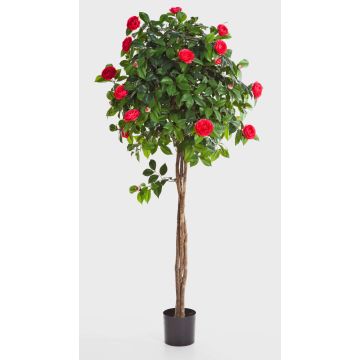 Árbol Camellia sintético ERINA, tronco real, flor, fucsia, 130cm