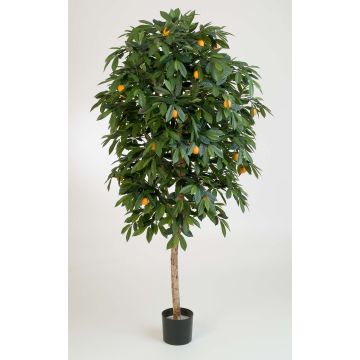 Árbol naranjo artificial CELIA, tronco real, frutos, verde, 110cm