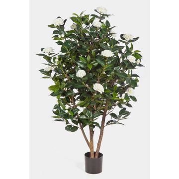 Camellia artificial KAORI, tronco natural, flores, blanco, 150cm