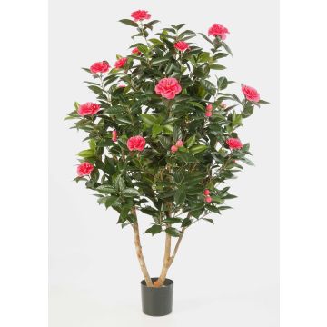 Camellia artificial KAORI, tronco natural, flores, fucsia, 150cm