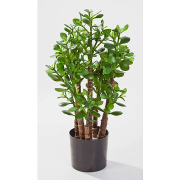 Árbol de jade sintético TIDO tronco real, verde, 60cm, Ø30cm