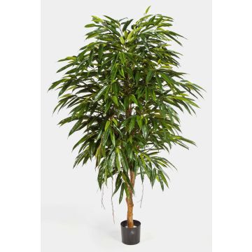Longifolia reina artificial HISA, tronco natural, verde, 210cm