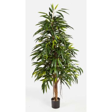 Longifolia reina artificial LENYA, tronco natural, verde, 180cm