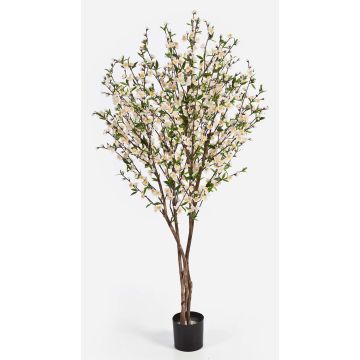 Cerezo artificial ZADAR, tronco natural, flores, blanco, 140cm