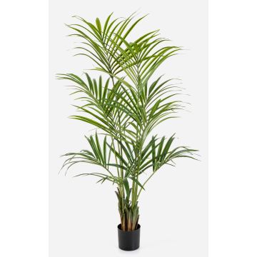 Palmera Kentia artificial OMAYRA, 170cm