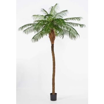 Palmera fénix artificial ELIZABETH, 225cm