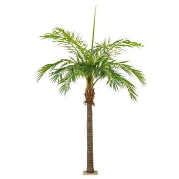 Palmera fénix sintética STEVEN, 420cm