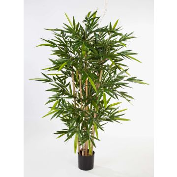 Bambú artificial TARIK tronco natural, difícil inflamar, verde, 210cm Bambú artificial TARIK tronco natural, difícil inflamar, verde, 210cm