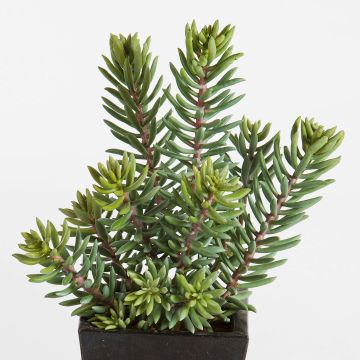 Sedum artificial JESPER en maceta decorativa, verde, 40cm