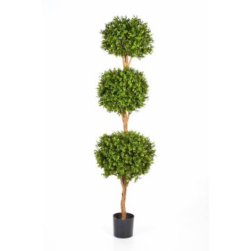 Árbol boj 3 copas artificial TOM, tronco real, verde, 190cm, Ø50cm