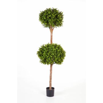 Árbol boj 2 copas artificial TOM, tronco real, verde, 160cm, Ø50cm