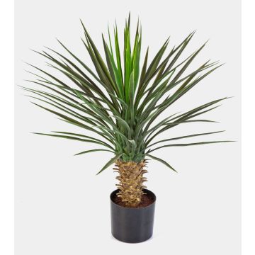 Palmera yuca artificial RAFFAELA, 80cm