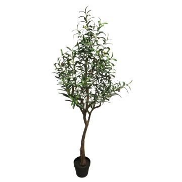 Olivo decorativo LIANSHU, tronco artificial, frutos, 150cm