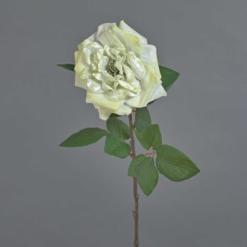 Rosa de terciopelo YUFAN, crema, 60cm