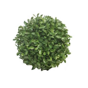 Bola de boj artificial FRITZ, reja de plástico, zona de paso, Ø13cm