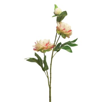 Rama decorativa de peonía YILING, rosa-crema, 65cm