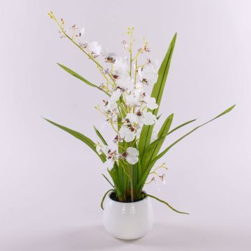 Orquídea Oncidium artificial SHANIA tiesto cerámica, blanco-marrón, 50cm, Ø3-4cm