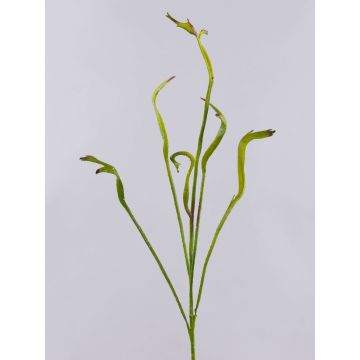 Rama de sauce dragón artificial ADELFOS, verde, 85cm Rama de sauce dragón artificial ADELFOS, verde, 85cm
