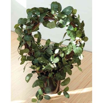 Jazmín de Madagascar artificial SERRA, blanco, 65cm, Ø50cm