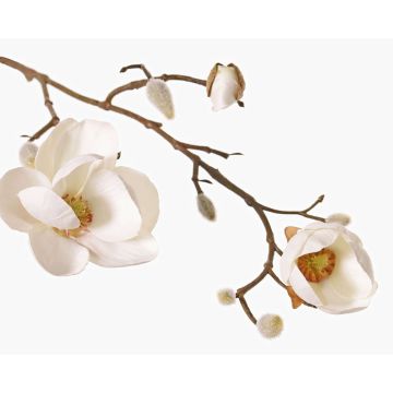 Magnolia artificial KOSTAS, crema, 55cm, Ø5-8cm