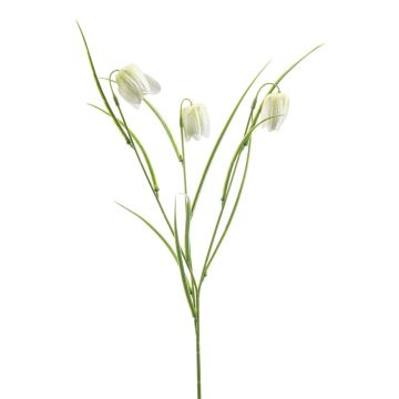 Rama artificial de flor de ajedrez REMARA, blanco-verde, 55 cm Rama artificial de flor de ajedrez REMARA, blanco-verde, 55 cm