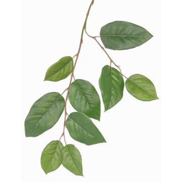 Rama de manzano artificial KONSTANTIN, verde, 75cm
