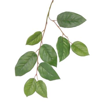 Rama de manzano artificial KONSTANTIN, verde, 75cm