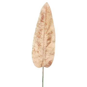 Hoja de plátano de terciopelo AOXUE, rosa, 70cm