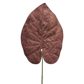 Hoja de filodendro artificial Scandens AOSHEN, marrón, 70cm