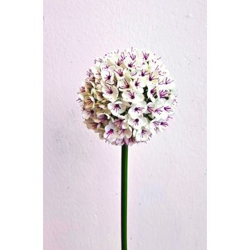 Allium artificial LOKJAN, blanco-violeta, 70 cm