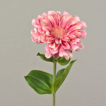 Zinnia artificial MIANMO, rosa, 60cm