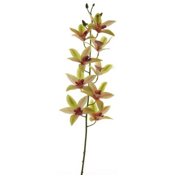 Rama decorativa de orquídea cymbidium YAMEI, rosa-verde, 80cm