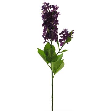 Lila artificial NAJUAN, morado oscuro, 80cm