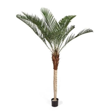 Palmera fénix de imitación ELITON, 180cm