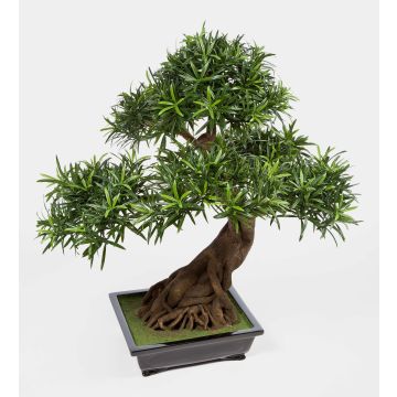 Bonsái Podocarpus sintético MASAO, raíz, fuente cerámica, verde, 85cm