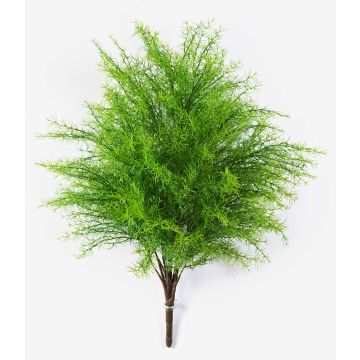 Asparagus plumosus artificial SUSANNA, varilla de ajuste, 60cm, Ø48cm