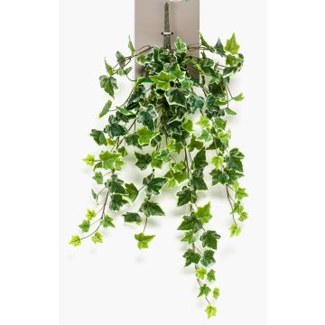 Colgante de yedra artificial MAJA, vara fijación, verde-blanco, 70cm Colgante de yedra artificial MAJA, vara fijación, verde-blanco, 70cm