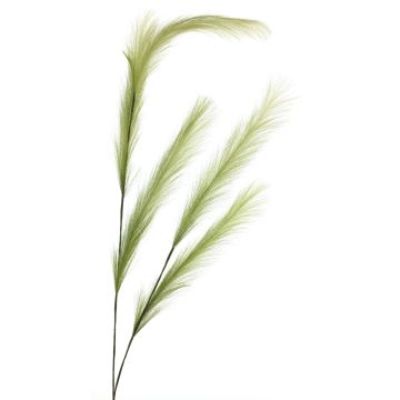 Rama decorativa de stipa MINBEI, verde, 145cm