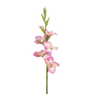 Gladiolo artificial KIVANA, rosa-blanco, 90 cm Gladiolo artificial KIVANA, rosa-blanco, 90 cm