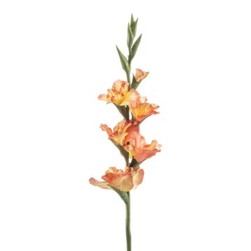Gladio artificial KIVANA, melocotón, 90 cm Gladio artificial KIVANA, melocotón, 90 cm