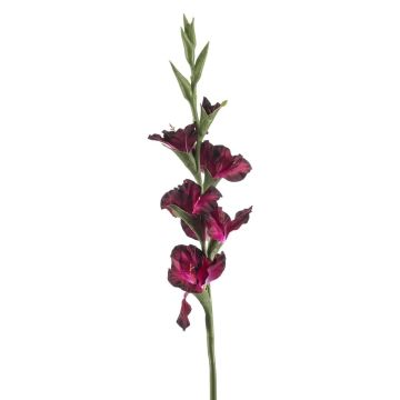 Gladio artificial KIVANA, violeta oscuro, 90 cm Gladio artificial KIVANA, violeta oscuro, 90 cm