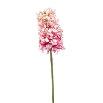 Flor decorativa jacinto EULUNA, rosa-fucsia, 50 cm Flor decorativa jacinto EULUNA, rosa-fucsia, 50 cm