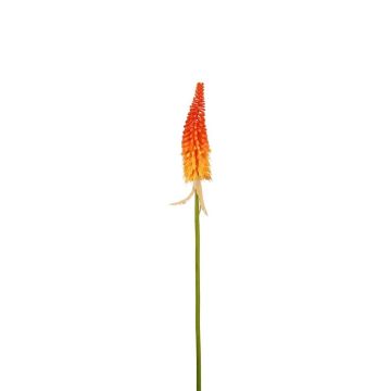Flor decorativa lirio antorcha MAVORA, rojo-naranja, 80 cm Flor decorativa lirio antorcha MAVORA, rojo-naranja, 80 cm