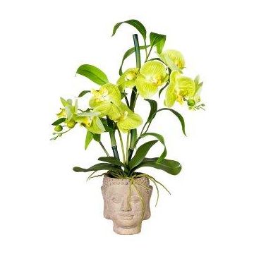 Arreglo floral artificial orquídea bambú MARAKI en maceta de cemento Buda, raíces, verde claro, 60 cm Arreglo floral artificial orquídea bambú MARAKI en maceta de cemento Buda, raíces, verde claro, 60 cm